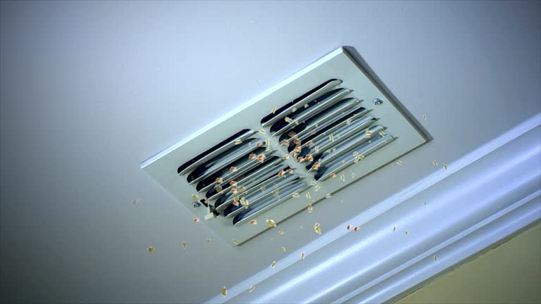 Best Dryer Vent Cleaning Services  in , DC