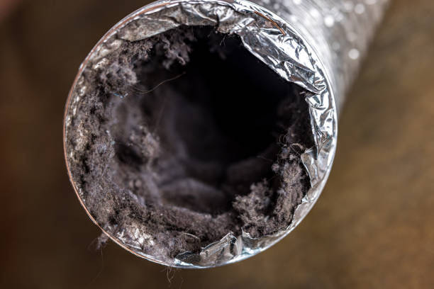 Best Professional Duct Cleaning Services  in , DC